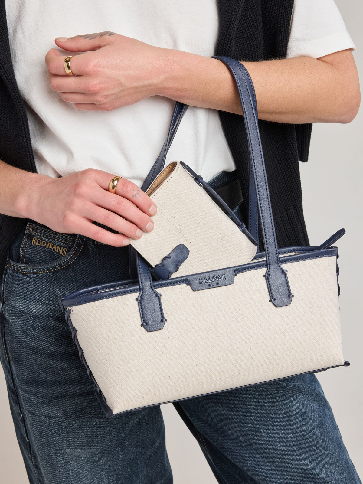 Colette Multi Passport Wallet in Canvas